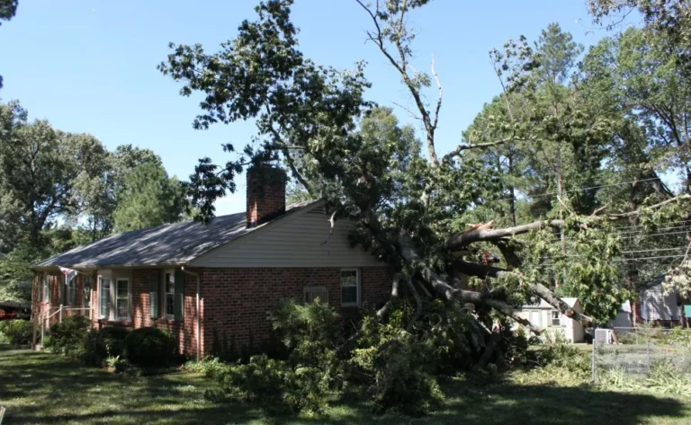 storm-restoration (46)